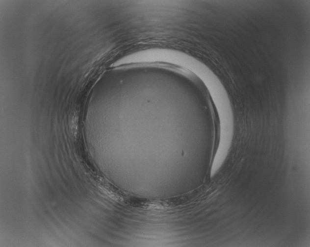 X0000076380697200611031630