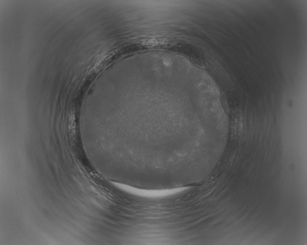 X0000076380700200611031630