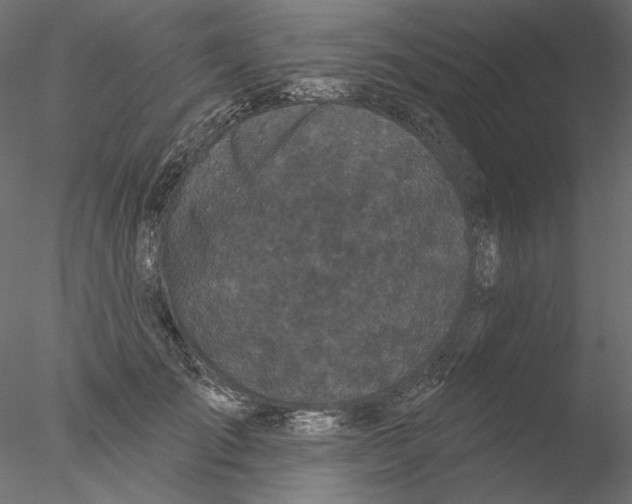 X0000076380701200611031630