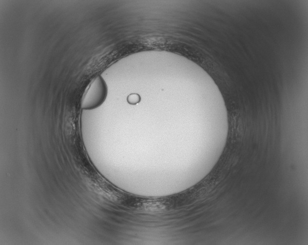 X0000076380702200611031630