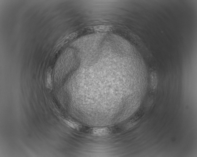 X0000076380705200611031629