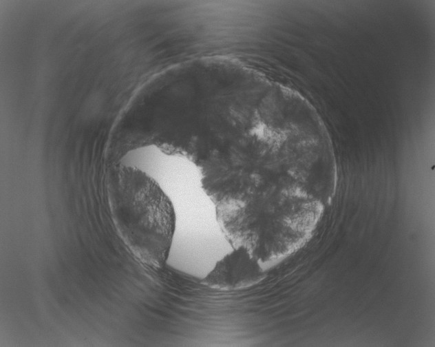 X0000076380707200611031629