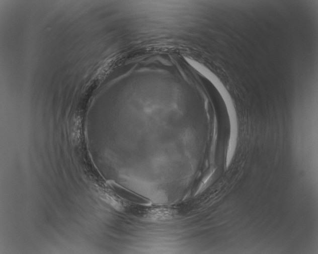 X0000076380708200611031629