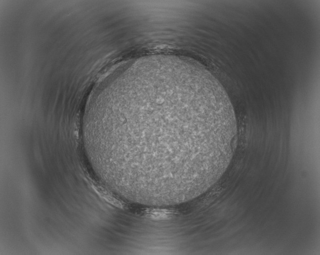 X0000076380710200611031629