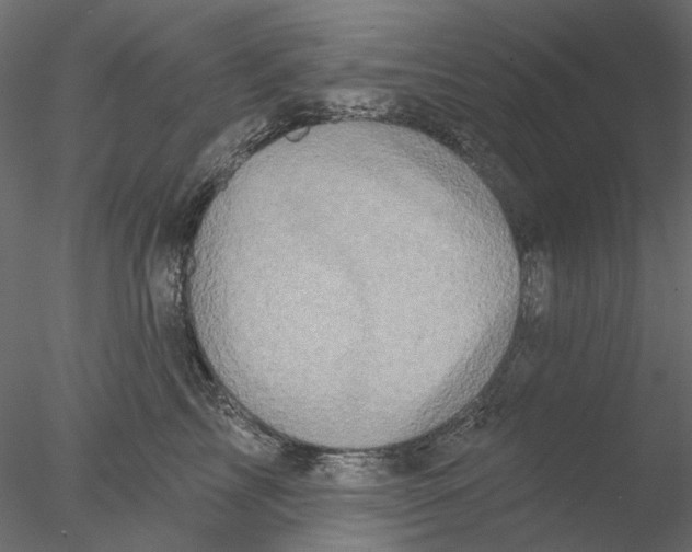 X0000076380713200611031629