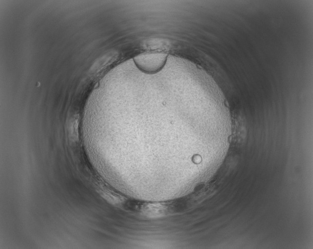 X0000076380717200611031629