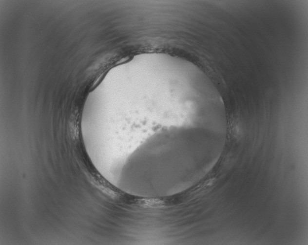 X0000076380719200611031629