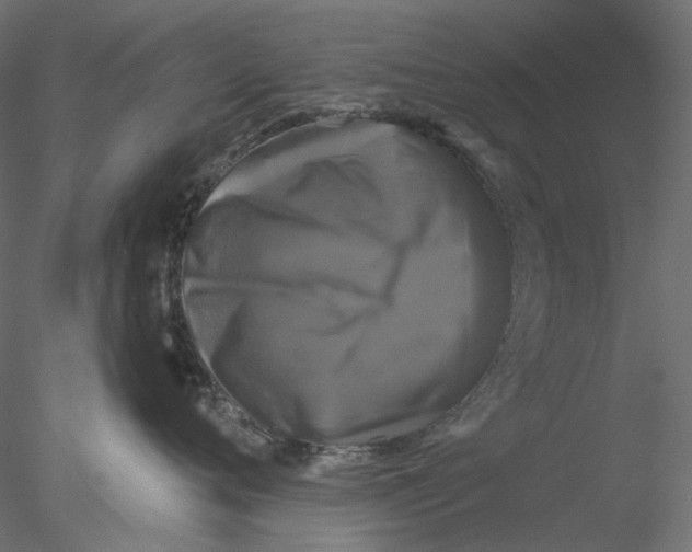 X0000076380720200611031629