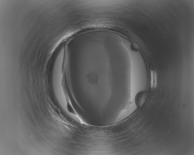 X0000076380723200611031628