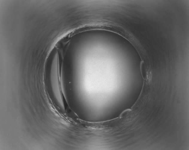 X0000076380724200611031628