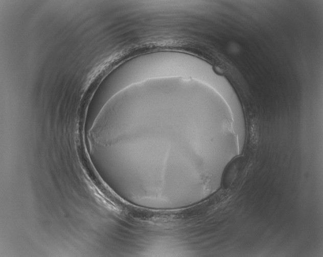 X0000076380725200611031628