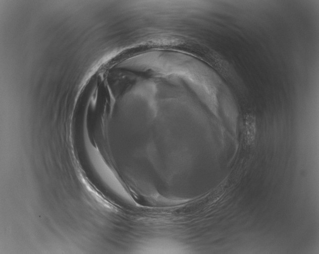 X0000076380726200611031628