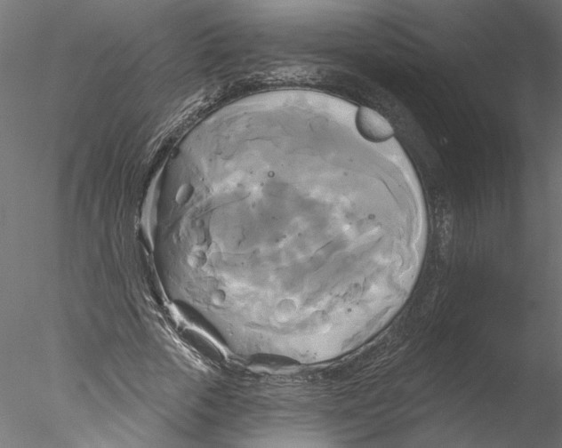 X0000076380729200611031629