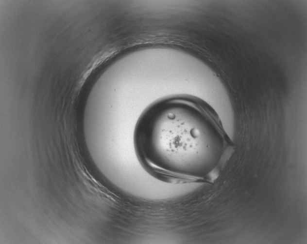 X0000076380731200611031629