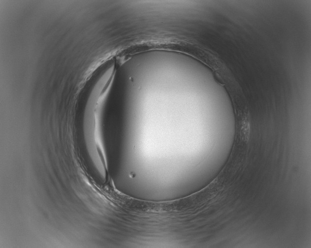 X0000076380732200611031629