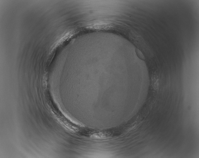 X0000076380735200611031629