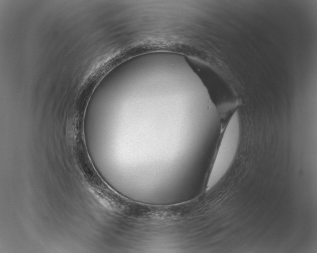 X0000076380736200611031629