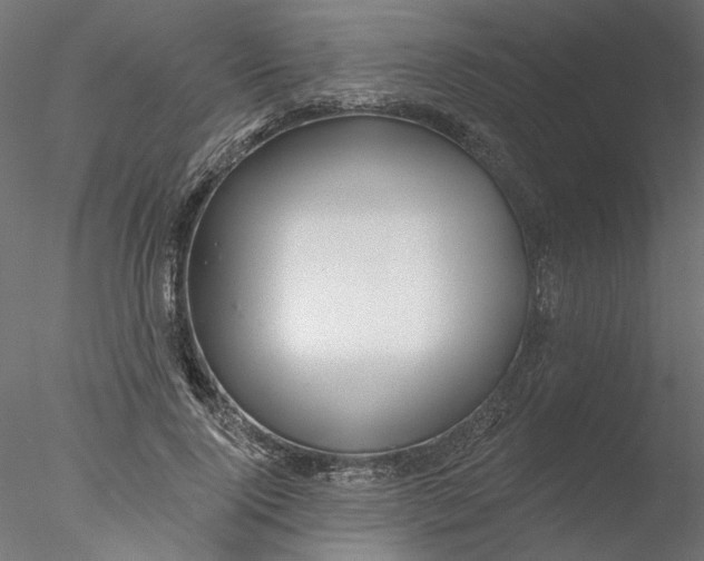 X0000076380740200611031629