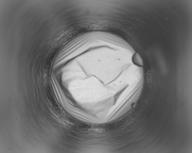 X0000076380741200611031629