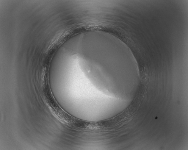 X0000076380742200611031629