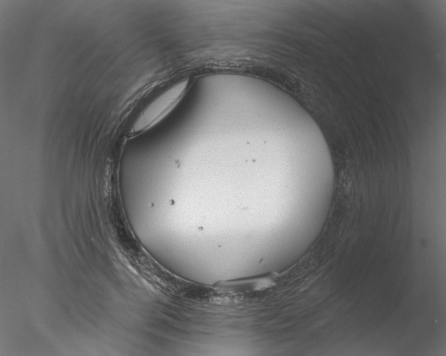 X0000076380744200611031629