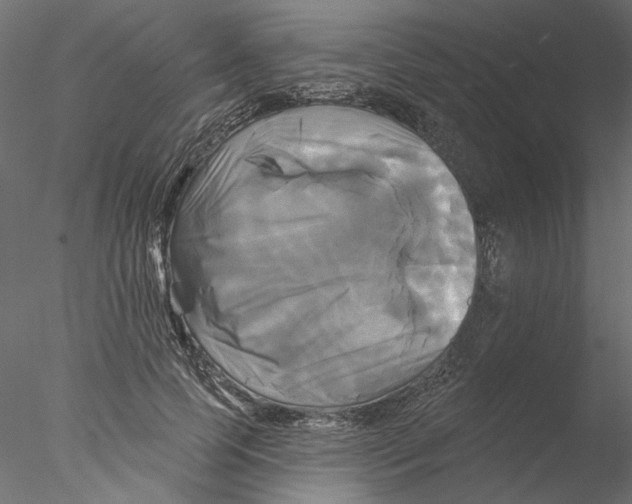 X0000076380745200611031629