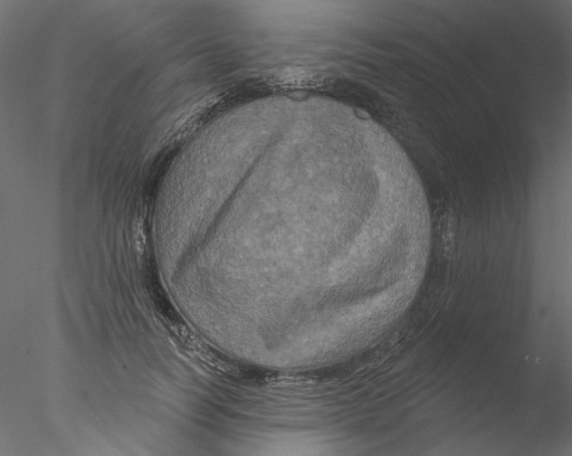 X0000076380746200611031629