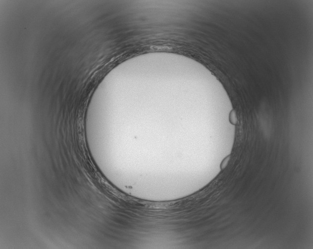 X0000076380747200611031629