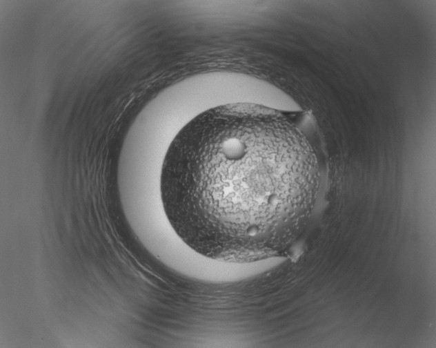 X0000076380752200611031629