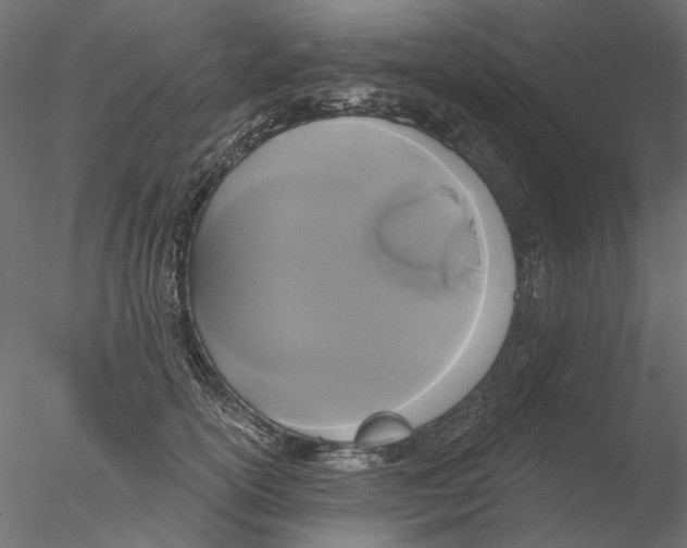 X0000076380754200611031629