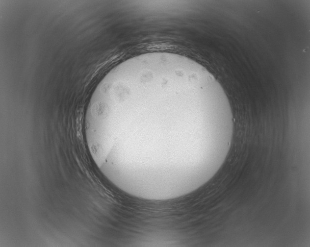 X0000076380755200611031629