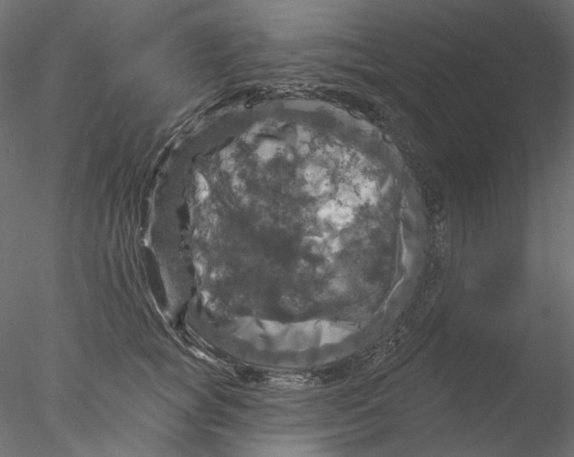 X0000076380757200611031629