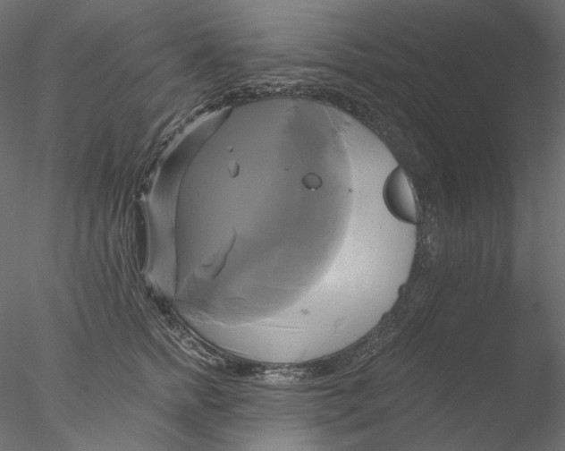 X0000076380758200611031629