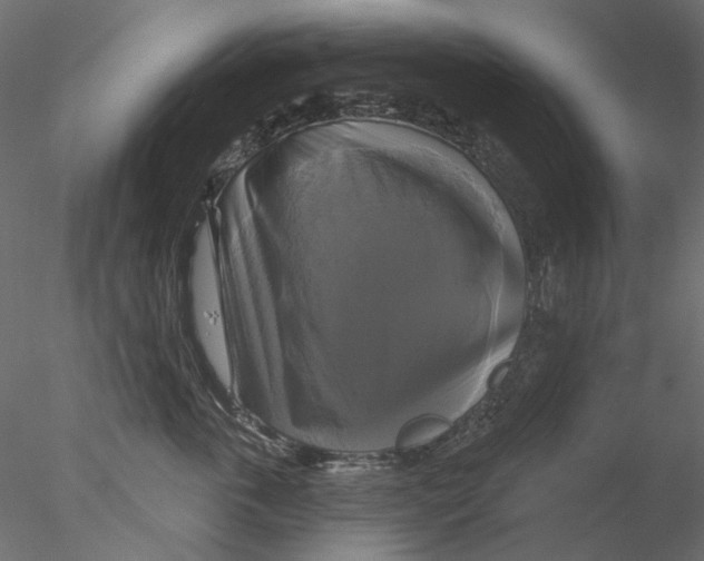 X0000076380763200611031629