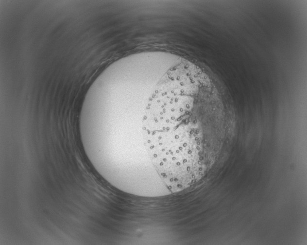 X0000076380767200611031629