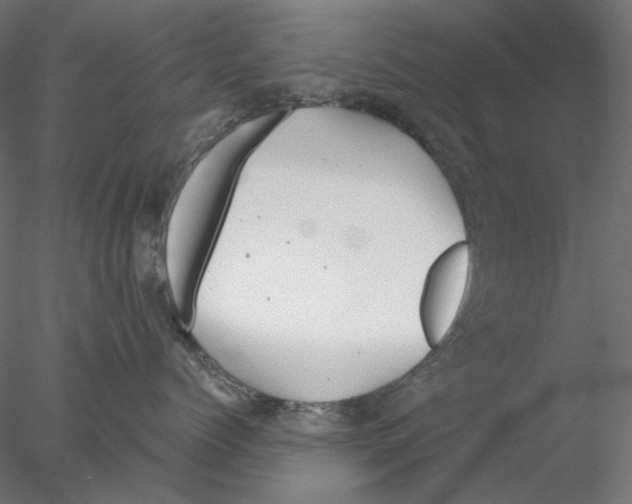 X0000076380768200611031629