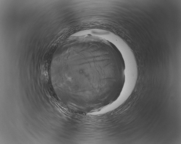 X0000076380771200611031628