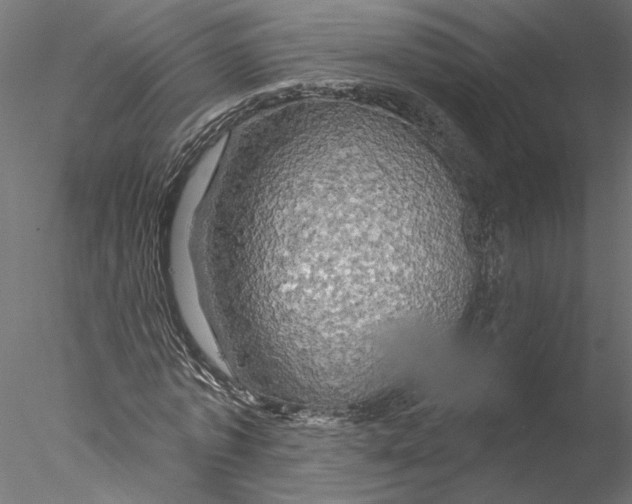 X0000076380773200611031628