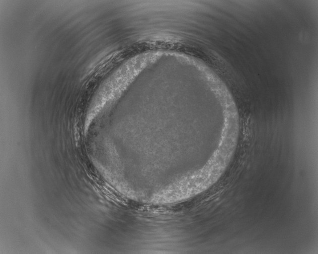 X0000076380774200611031628