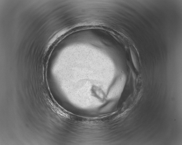 X0000076380781200611031628