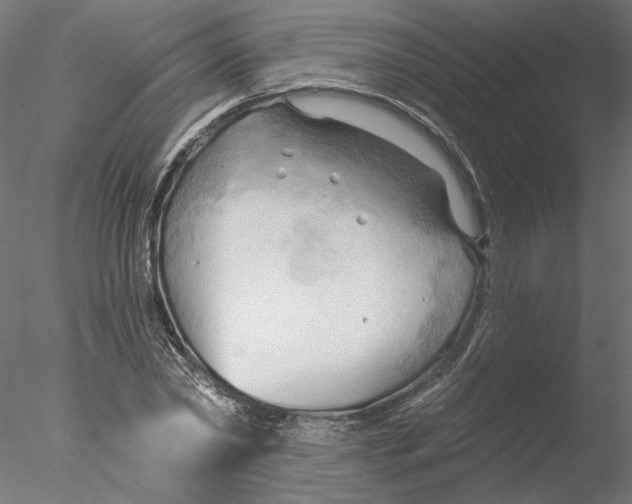 X0000076380782200611031628