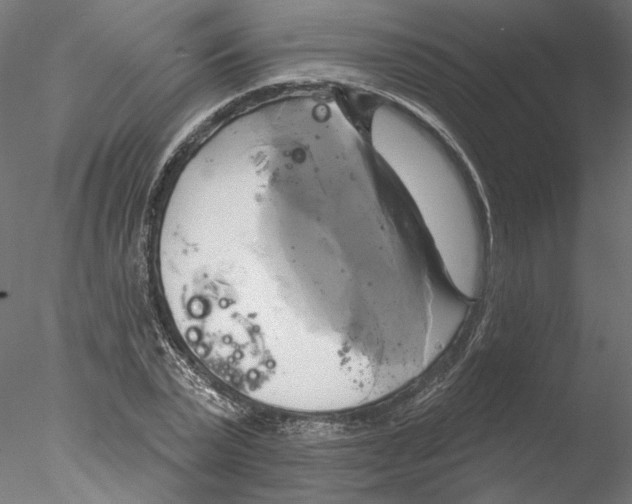 X0000076380783200611031628