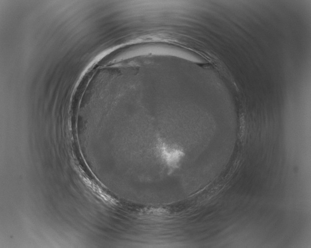 X0000076380784200611031628