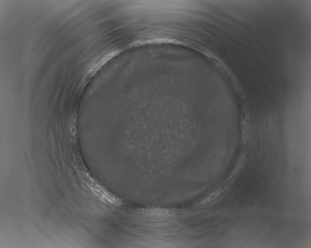 X0000076380785200611031628