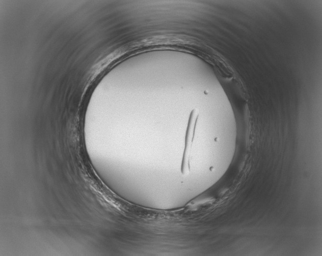 X0000076380786200611031628