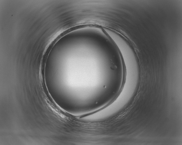 X0000076380788200611031628