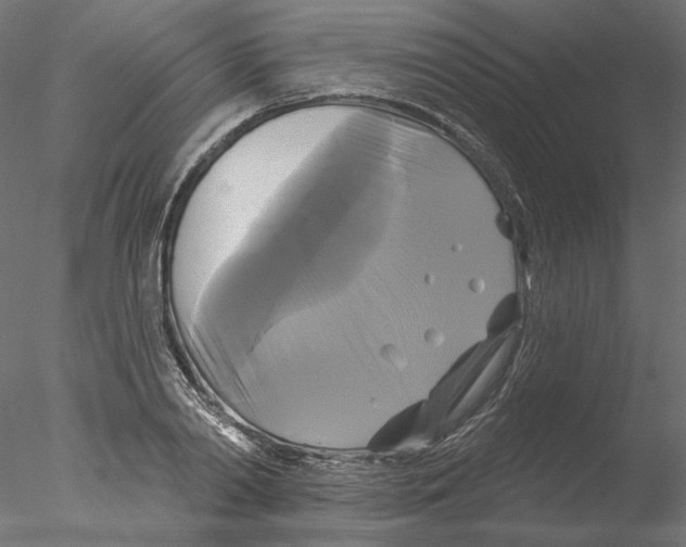 X0000076380790200611031628