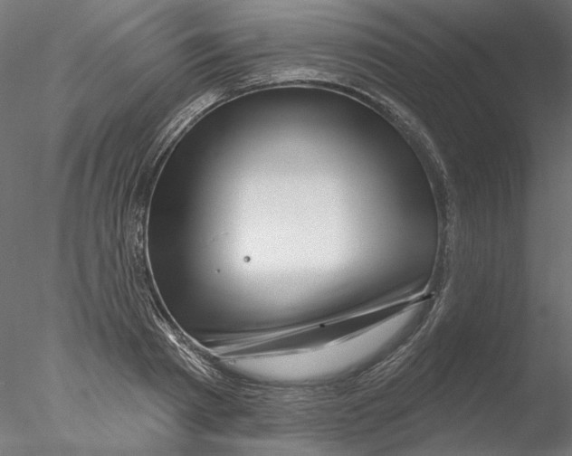 X0000076380793200611031628