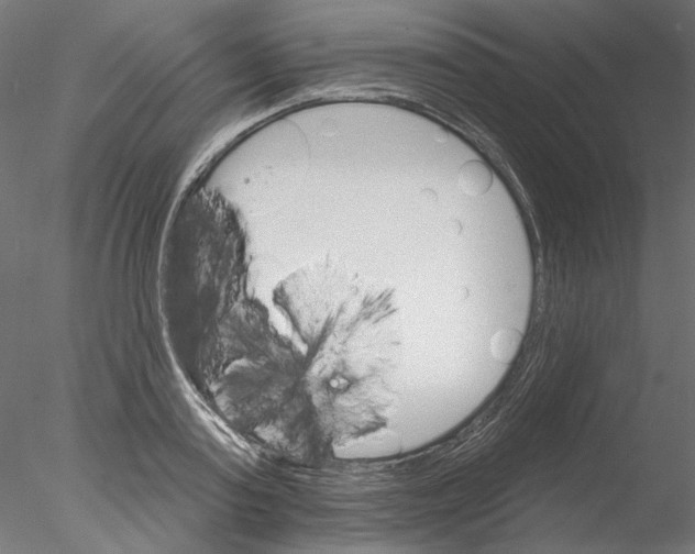 X0000076380795200611031628