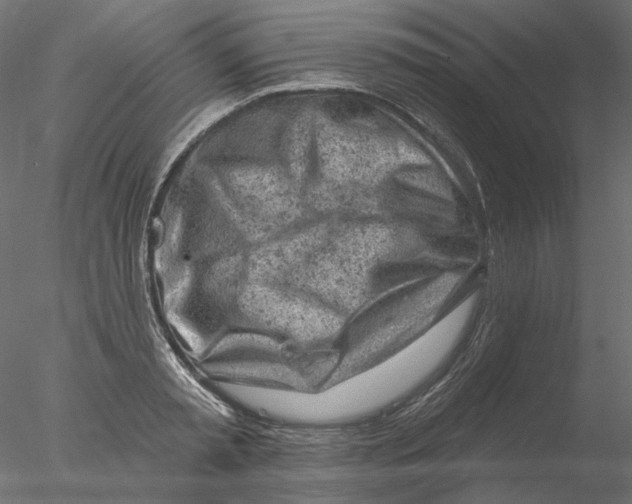 X0000076380797200611031628